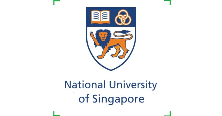 Postdoctoral Fellowship at National University of Singapore (NUS), Singapore